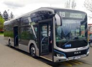Autobus Pavle